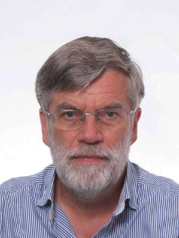 Dirk de Jong, Consultant (retired)