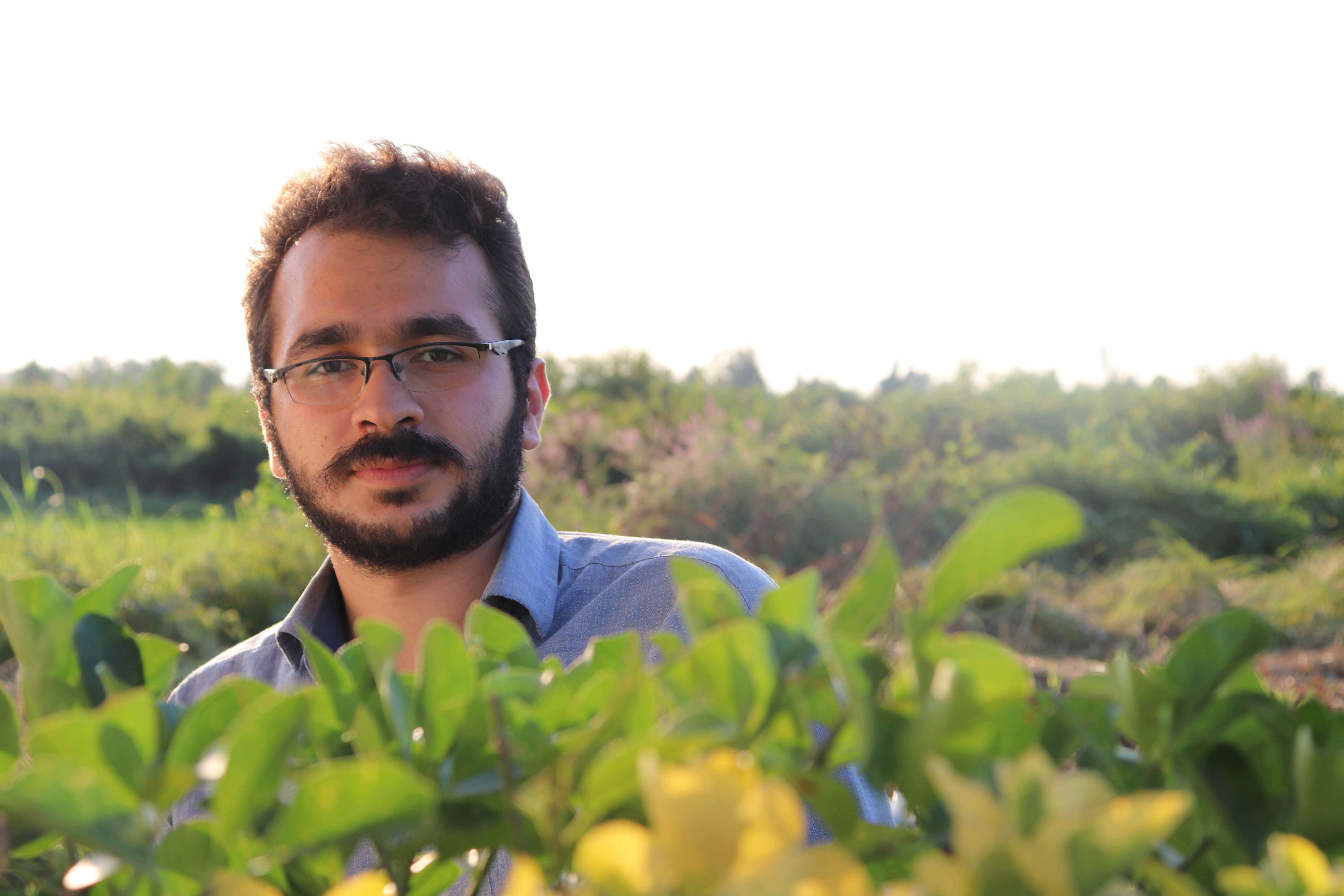 Ali Rahmani, Monitoring & Evaluation Manager at VAZ Team