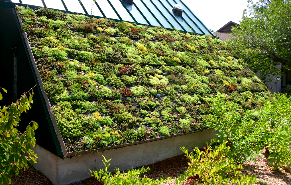 Green Roofs for Stormwater Management and Mitigating Climate Change