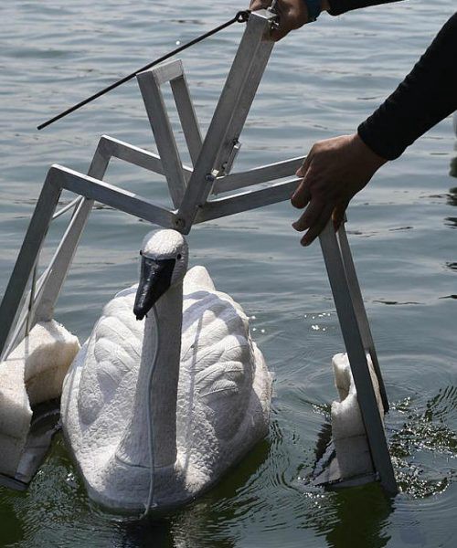 Singapore’s robotic swans testing water quality