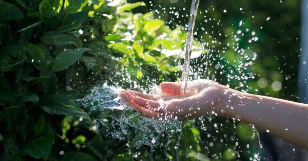 Put Your Money Where Your Water Is: The Global Call for Water Stewardship