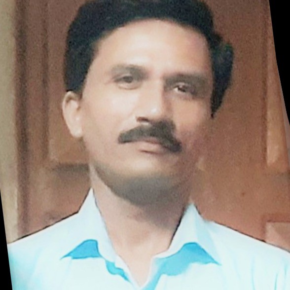 Rishikesh Upadhyay, Professor Assistant