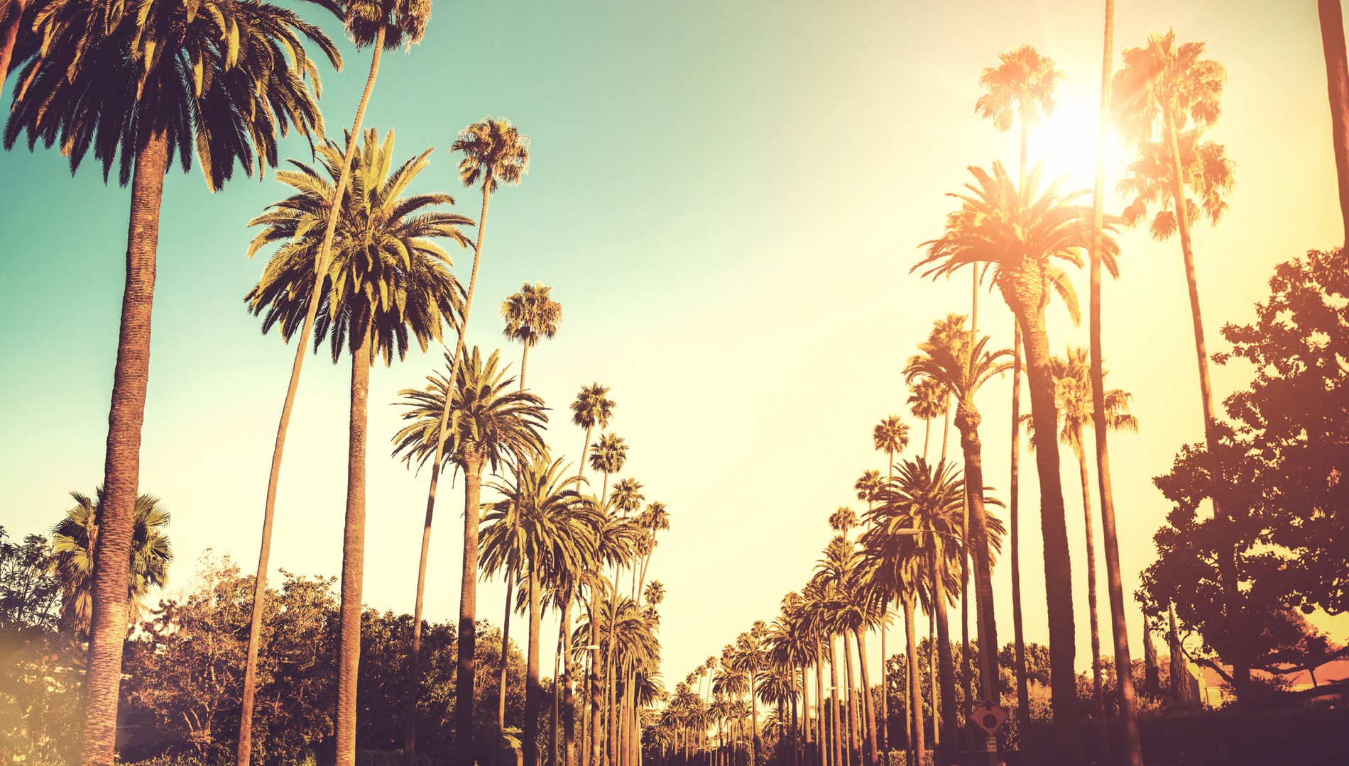 LA’s Stormwater Key to Water Security