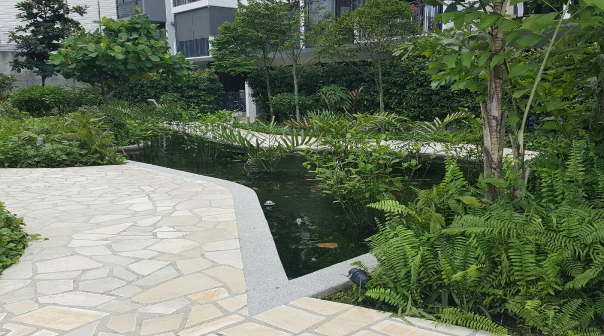 A Sociological Framework for Singapore’s ABC Water Programme
